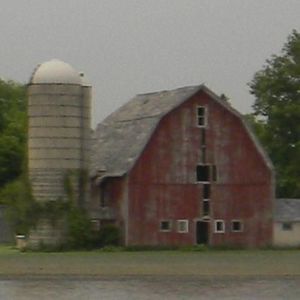 Meet your Posher, Lisa eich